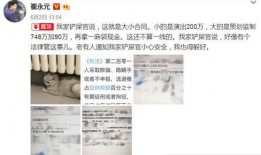 春雷说事爆料视频大全,揭秘热门视频背后的故事与真相