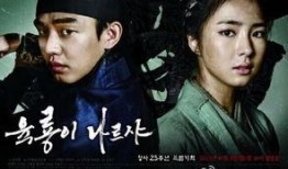 韩剧六龙飞天在线观看,宫廷权谋与家族恩怨的史诗巨制