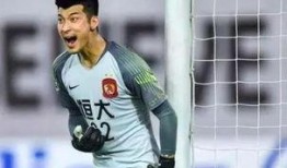 成都恒大爆料最新消息,揭秘项目进展与市场动态